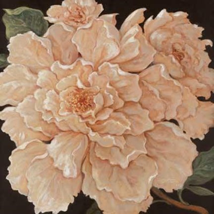 Framed Ivory Peonies Print