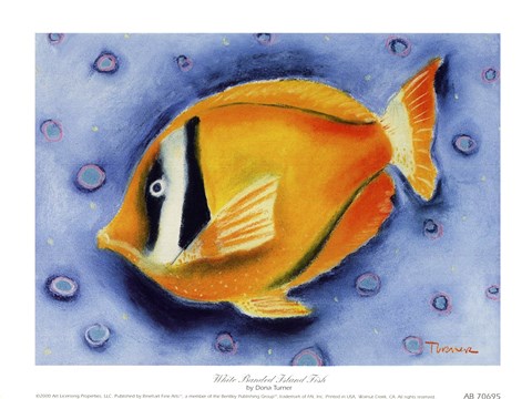 Framed White Banded Island Fish Print