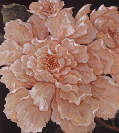 Framed Ivory Peonies Print