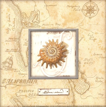 Framed Sea Treasure III - Mini Print