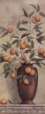 Framed Apricotier Print