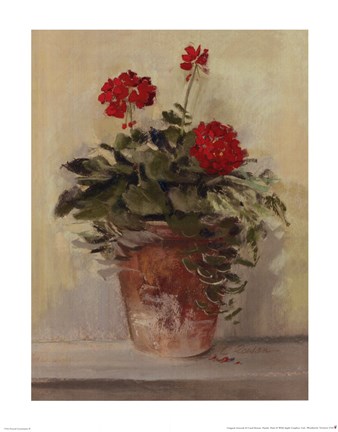 Framed Potted Geraniums II Print