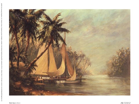 Framed Rum Cay Print