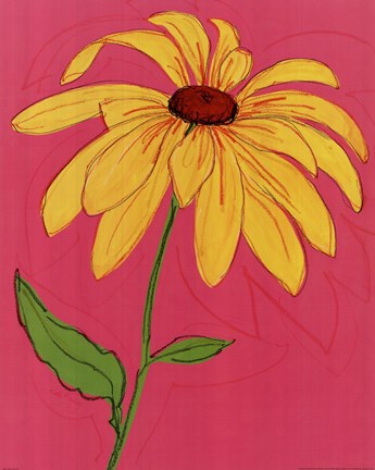 Framed Wild Daisy III Print