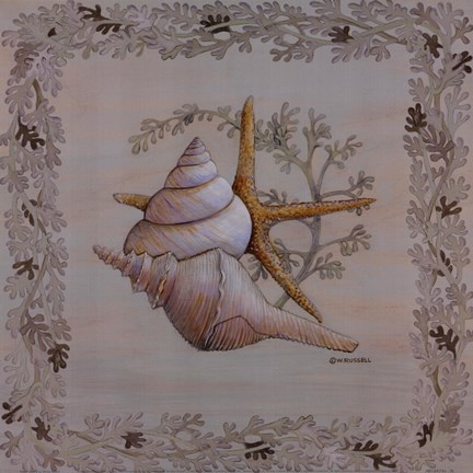 Pastel Shell II Fine Art Print by Wendy Russell at FulcrumGallery.com