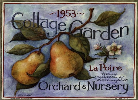 Framed Cottage Garden II Print