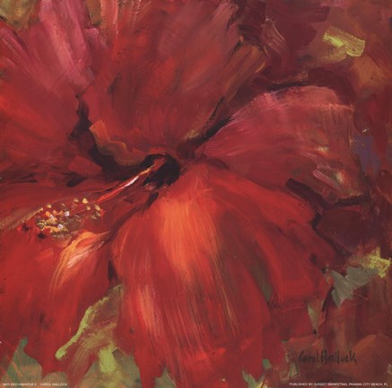 Framed Red Hibiscus II Print