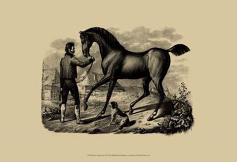 Framed Horse Horsemen VI Print