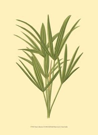 Framed Terra Collection I Print