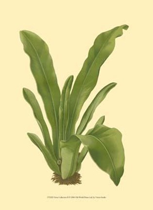 Framed Terra Collection II Print