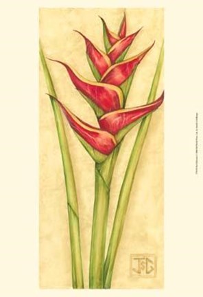 Framed Red Heliconia Print