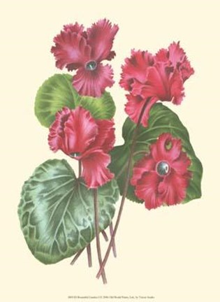 Framed Bountiful Garden I Print