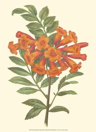 Framed Bountiful Garden III Print