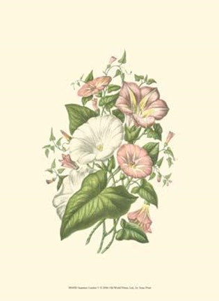 Framed Summer Garden V Print