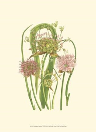 Framed Summer Garden VI Print