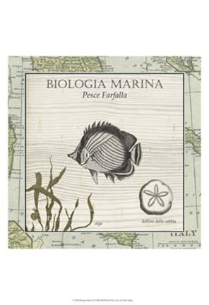 Framed Biologia Marina I Print