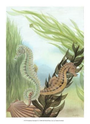 Framed Seahorse Serenade IV Print