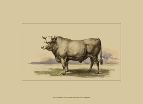 Framed Antique Cow I Print