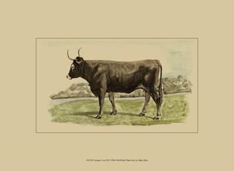 Framed Antique Cow III Print