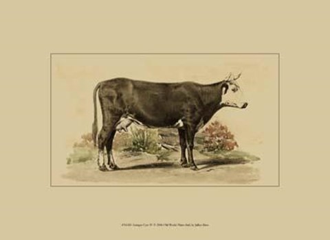 Framed Antique Cow IV Print