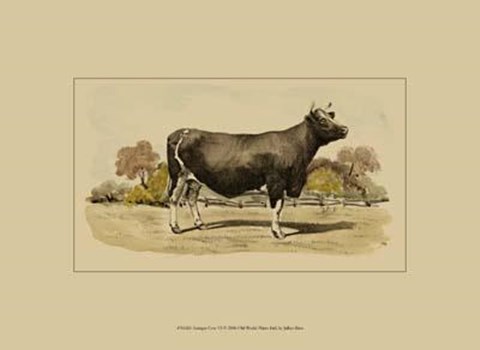 Framed Antique Cow VI Print