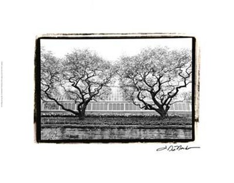 Framed Conservatory II Print