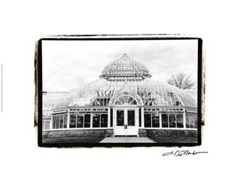 Framed Conservatory III Print
