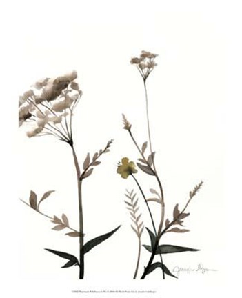 Framed Watermark Wildflowers I Print