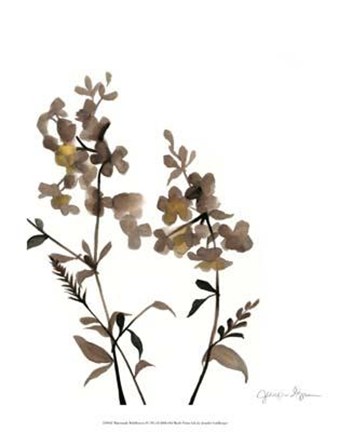 Framed Watermark Wildflowers IV Print