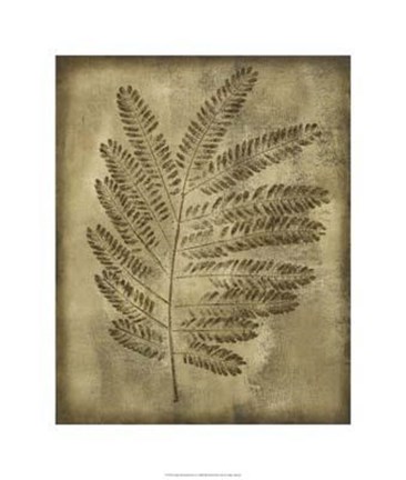 Framed Sepia Drenched Fern II Print