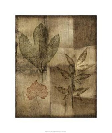 Framed Impressed On Patina II Print