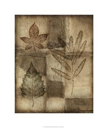 Framed Impressed On Patina IV Print