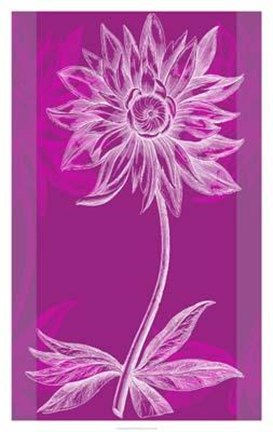 Framed Efflorescence III Print