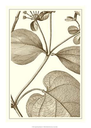 Framed Cropped Sepia Botanical V Print
