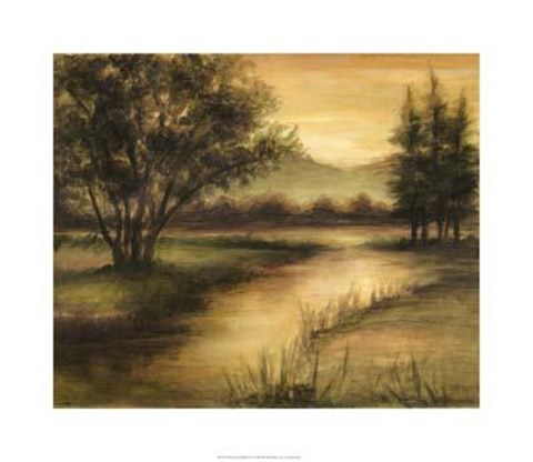 Framed Midsummer Reflections I Print