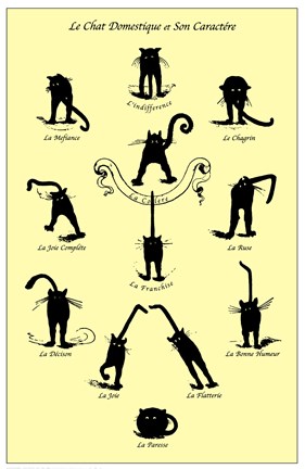 Framed Le Chat Domestique Print