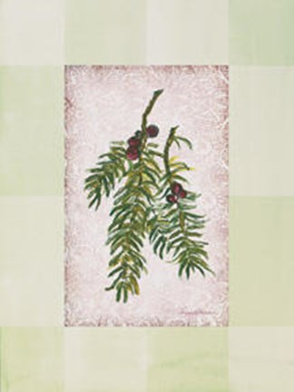 Framed Sierra Pine l Print