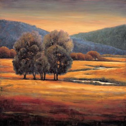 Framed In All Its Glory I Print