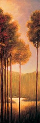 Framed Through The Woods III Print