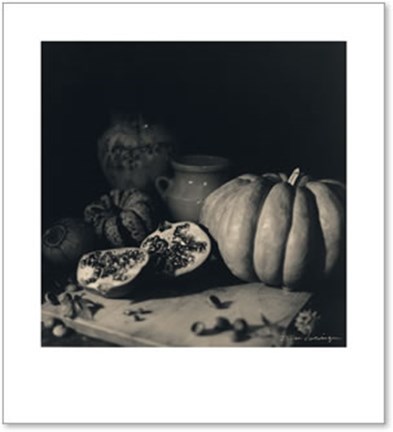 Framed Pumpkin and Pomegranate Print