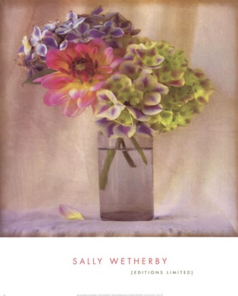 Framed Dahlia With Hydrangeas II Print