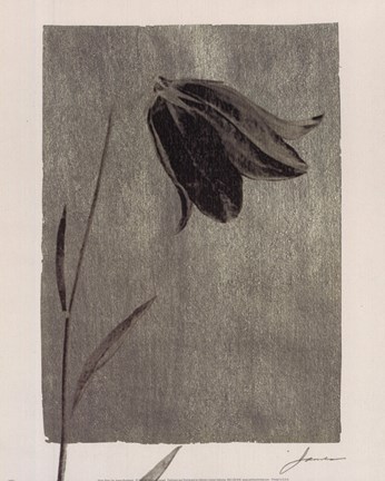 Framed Silver Stem I Print