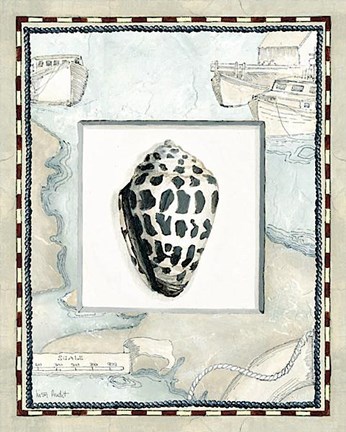Framed Seashells III Print