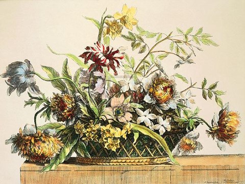 Framed Basket of Flowers II Print