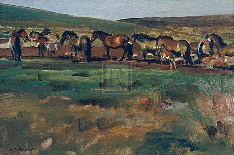 Framed Exmoor Ponies Print