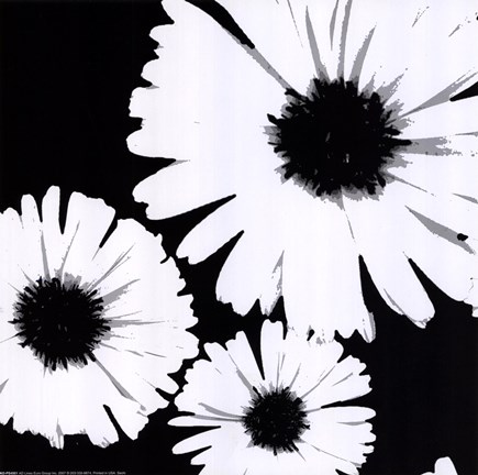 Framed Bw Daisies II Print