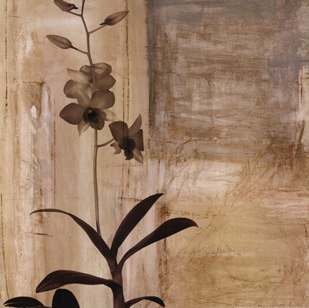 Framed Shadow Dance I Print