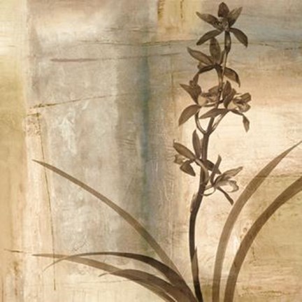 Framed Shadow Dance II Print