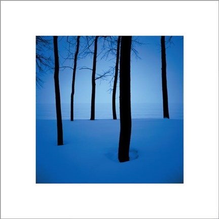 Framed Trees In Snow Print