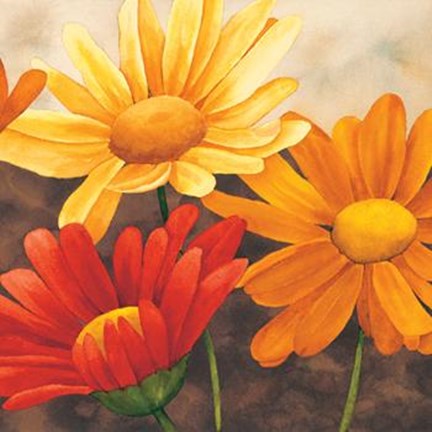 Framed Margherite Variopinte II Print